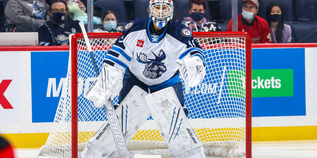 Moose Come Clean With H1N1 Precautions