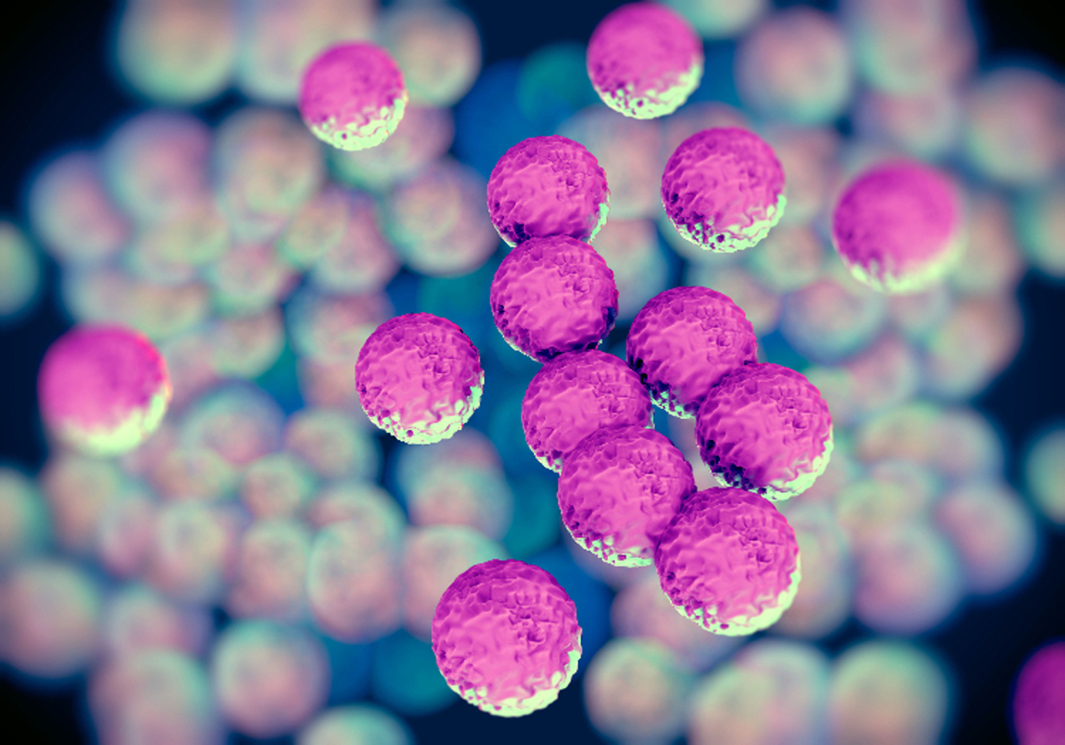 How To Prevent MRSA Infection Global Ozone