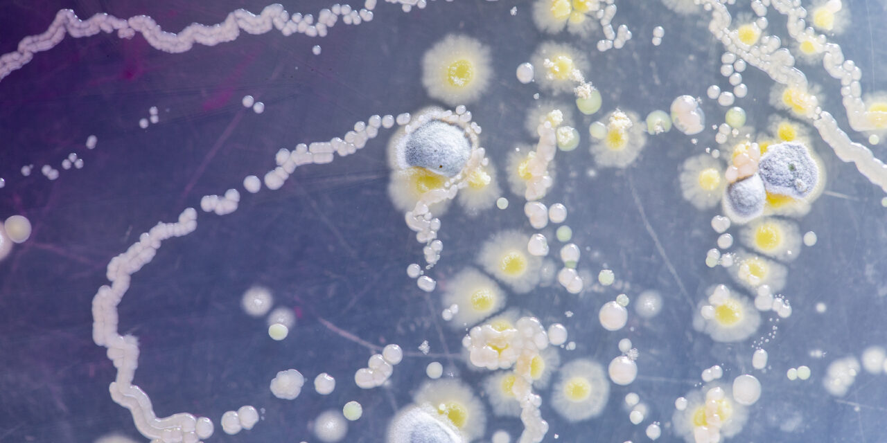 Bioweapons: Protecting Against A Silent Threat